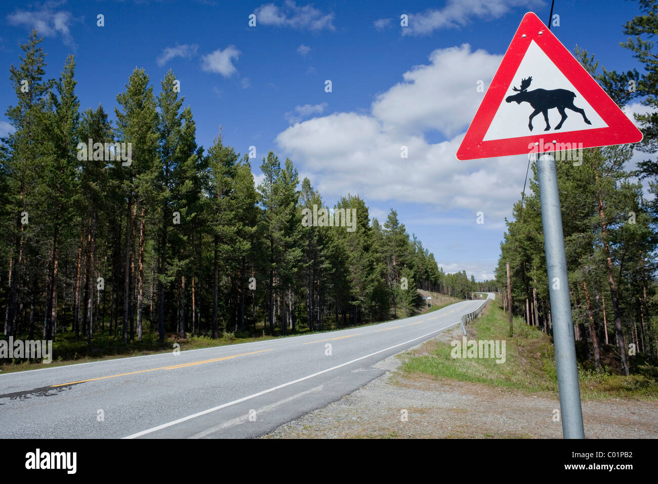 Panneau d'avertissement de l'orignal, Norway, Scandinavia, Europe Banque D'Images