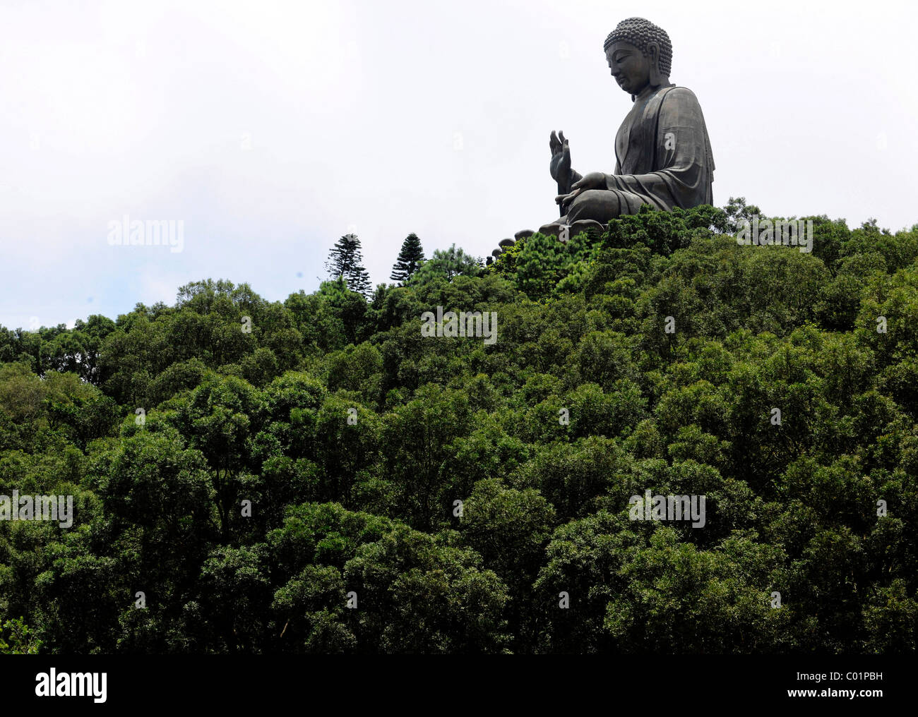 Tian Tan Buddha ou statue du Grand Bouddha, Hong Kong, Chine, Asie Banque D'Images