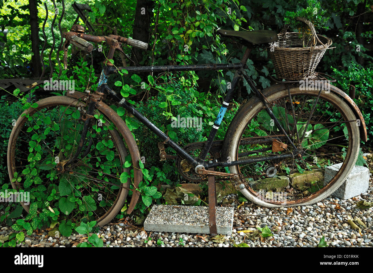 Vieux Velo Comme Decoration Dans Un Jardin Ambiance Jardin Bed And Breakfast Inn 12 Rue De L Abbe Wendling Rue Diebolsheim Photo Stock Alamy