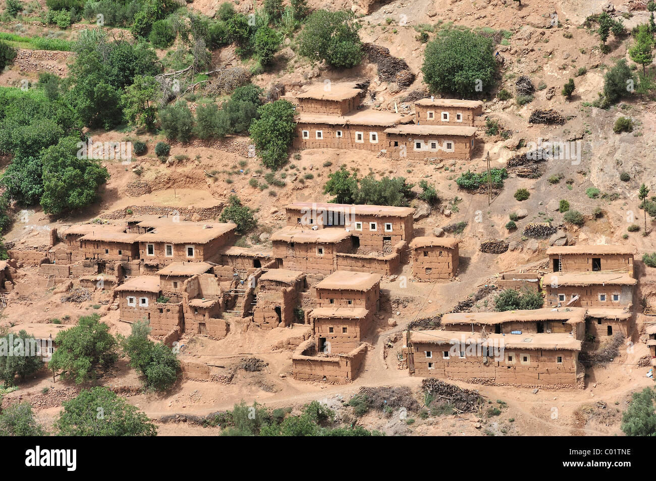 Village berbère typique avec des maisons d'adobe et petites kasbahs dans les montagnes du Haut Atlas, Maroc, Afrique Banque D'Images
