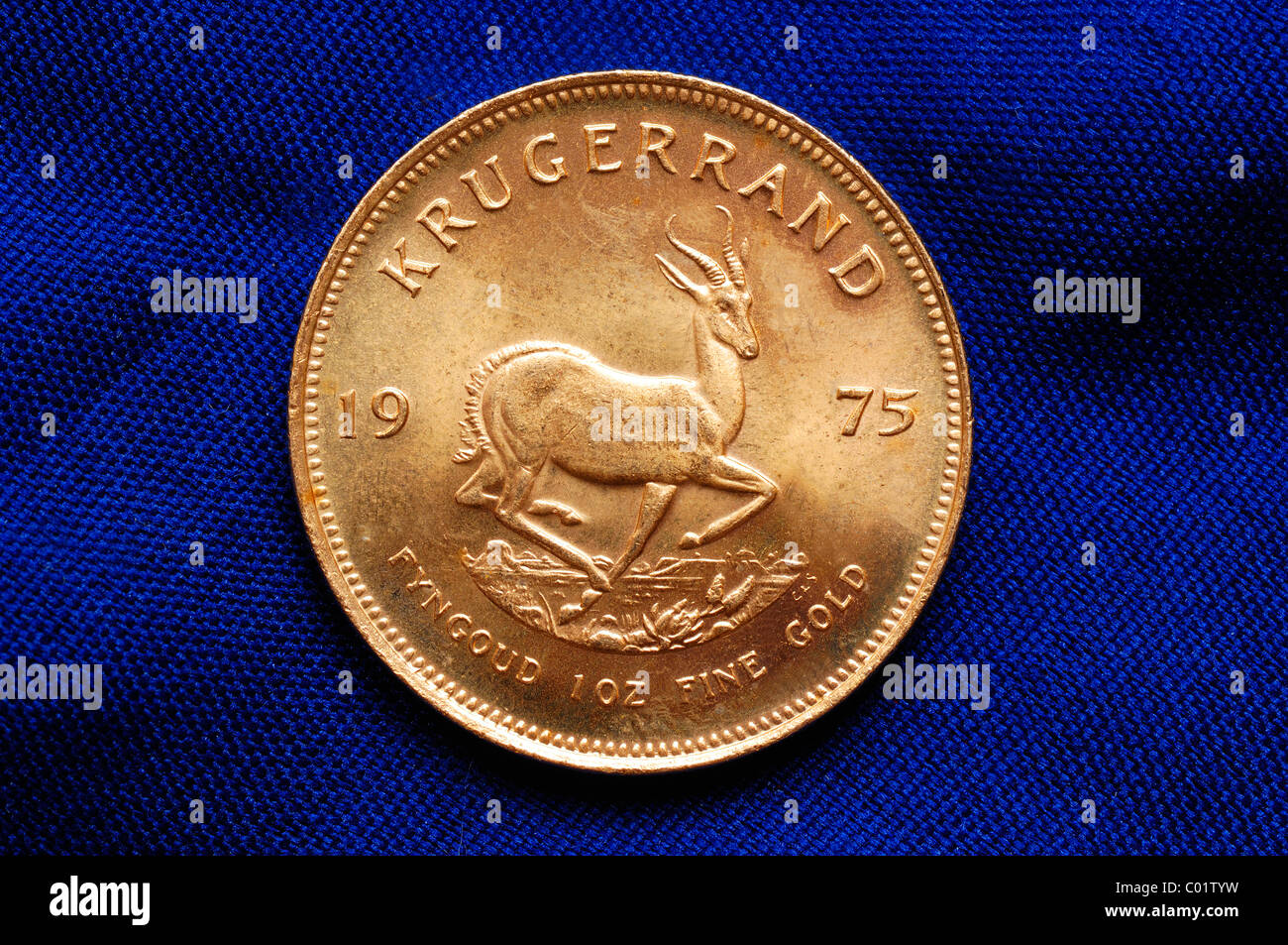 Krugerrand sud-africain de 1975, 10 Z l'or fin, motif de retour, Spring Bock Banque D'Images