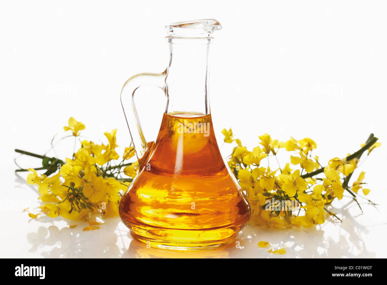 Bouteille d'huile de colza canola fraîche avec des fleurs Banque D'Images