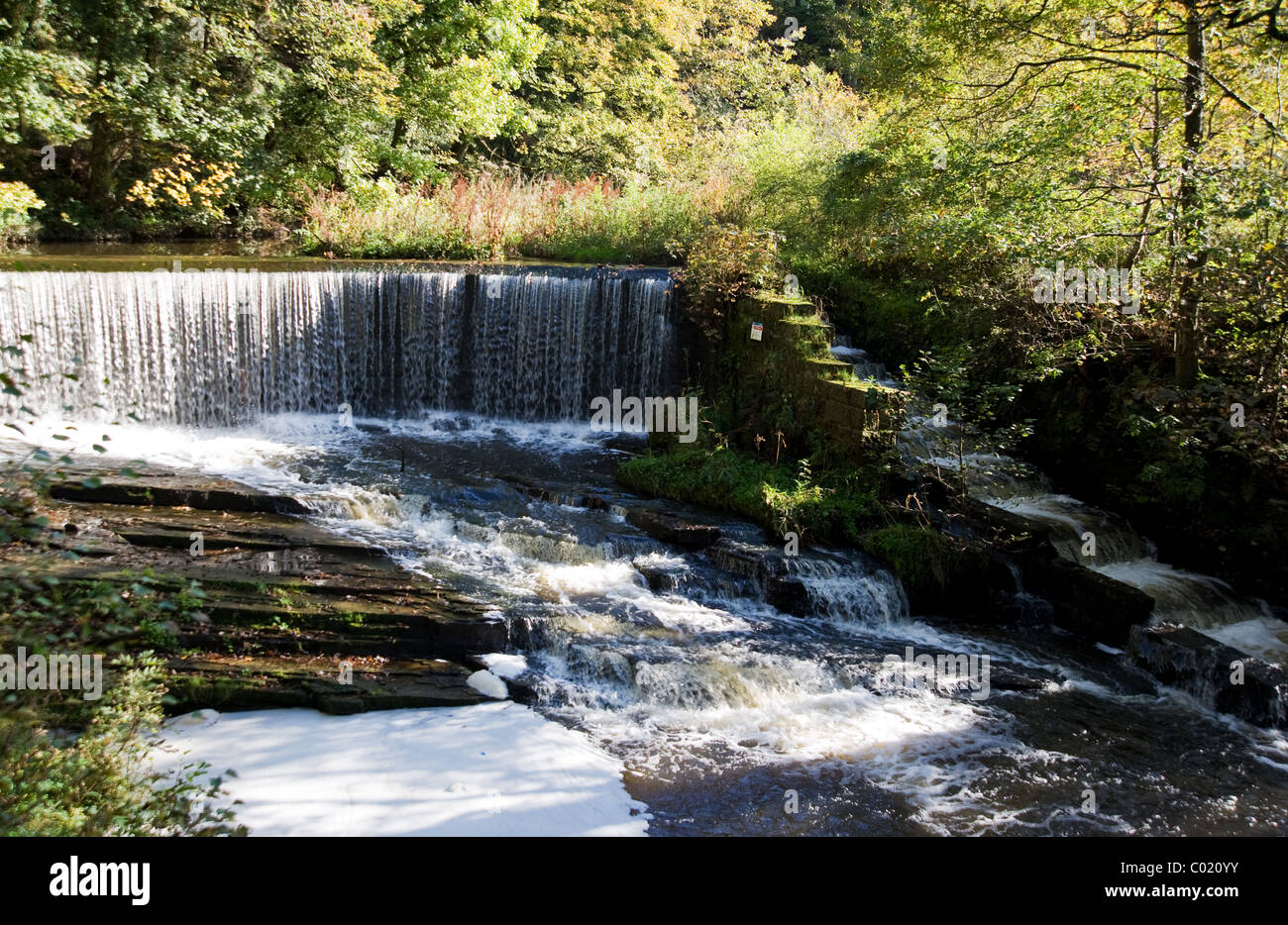 Birkacre Weir, sur la rivière Yarrow, dans la vallée de millefeuille Country Park, Lancashire Banque D'Images