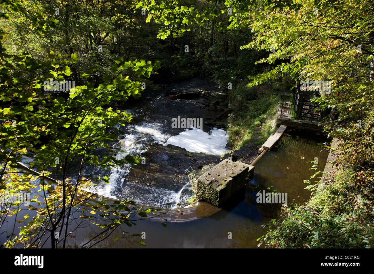 Birkacre Weir, sur la rivière Yarrow, dans la vallée de millefeuille Country Park, Lancashire Banque D'Images