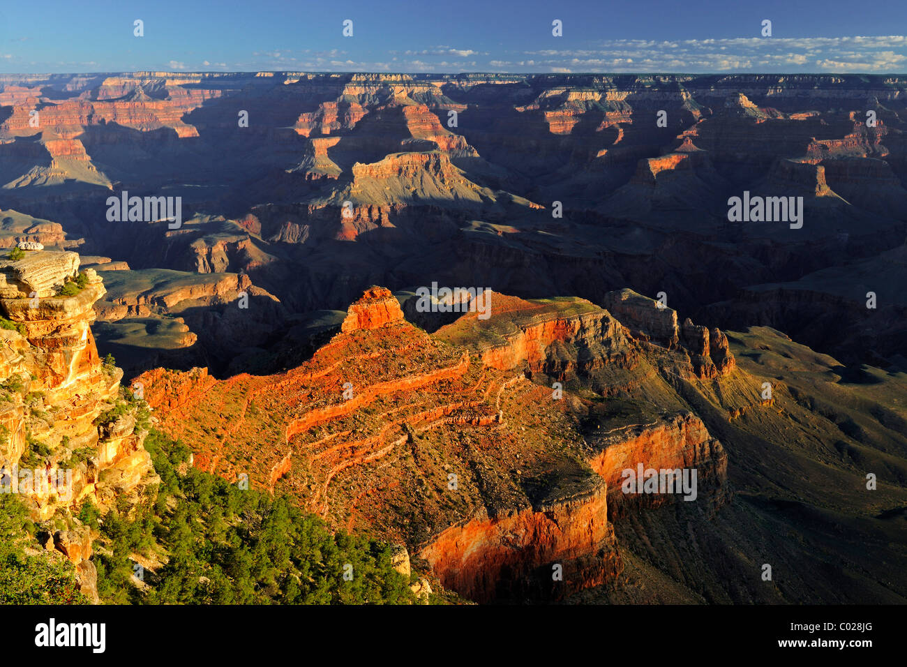 Matin à Yaki Point, Grand Canyon South Rim, South Rim, Arizona, United States, Amérique Latine Banque D'Images