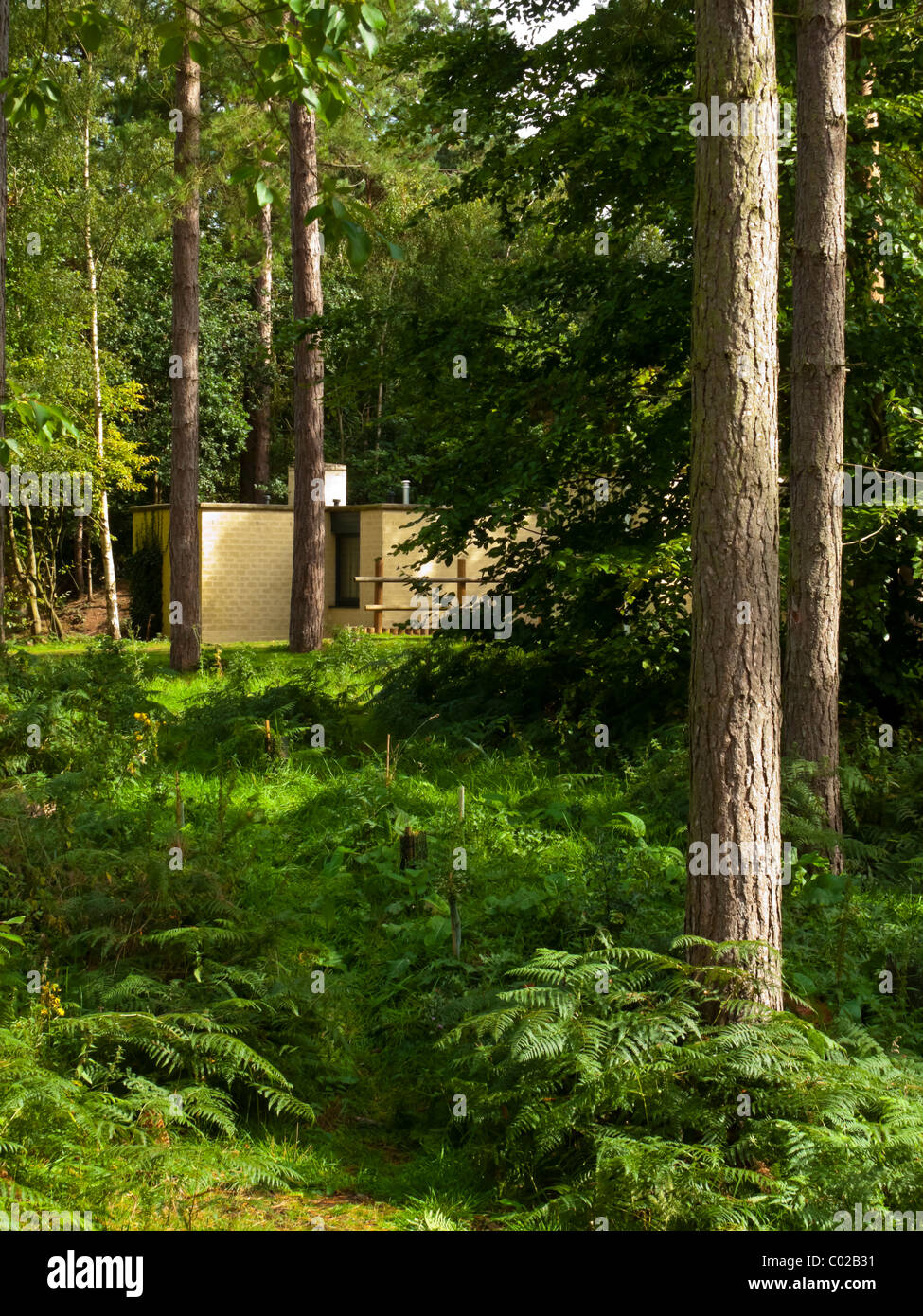 Chalets dans les pins à Center Parcs La Forêt de Sherwood près de Rufford dans Nottinghamshire England UK a ouvert ses portes en 1987 Banque D'Images