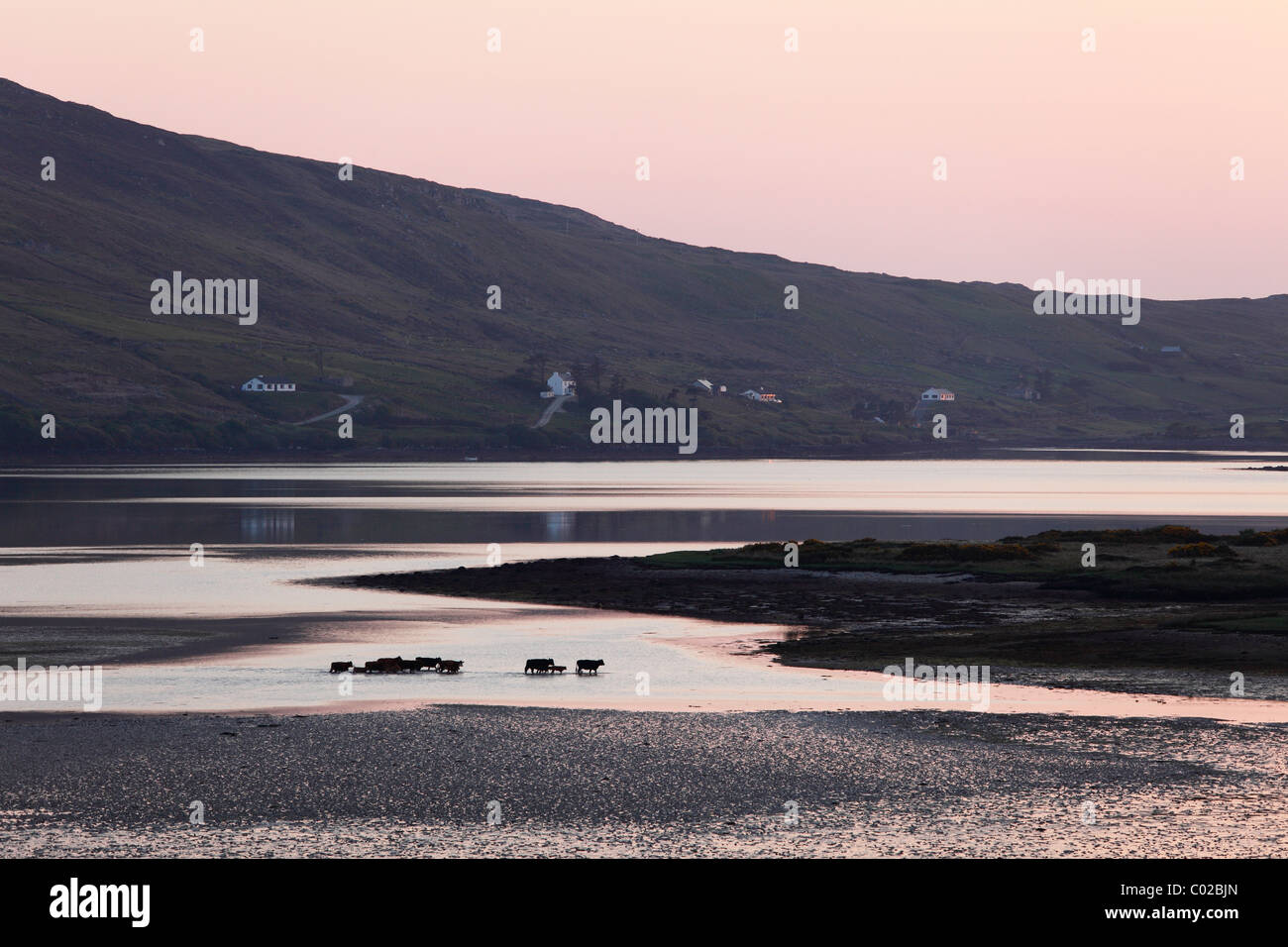 Soir bay avec Skyroads, Connemara, comté de Galway, en République d'Irlande, Europe Banque D'Images