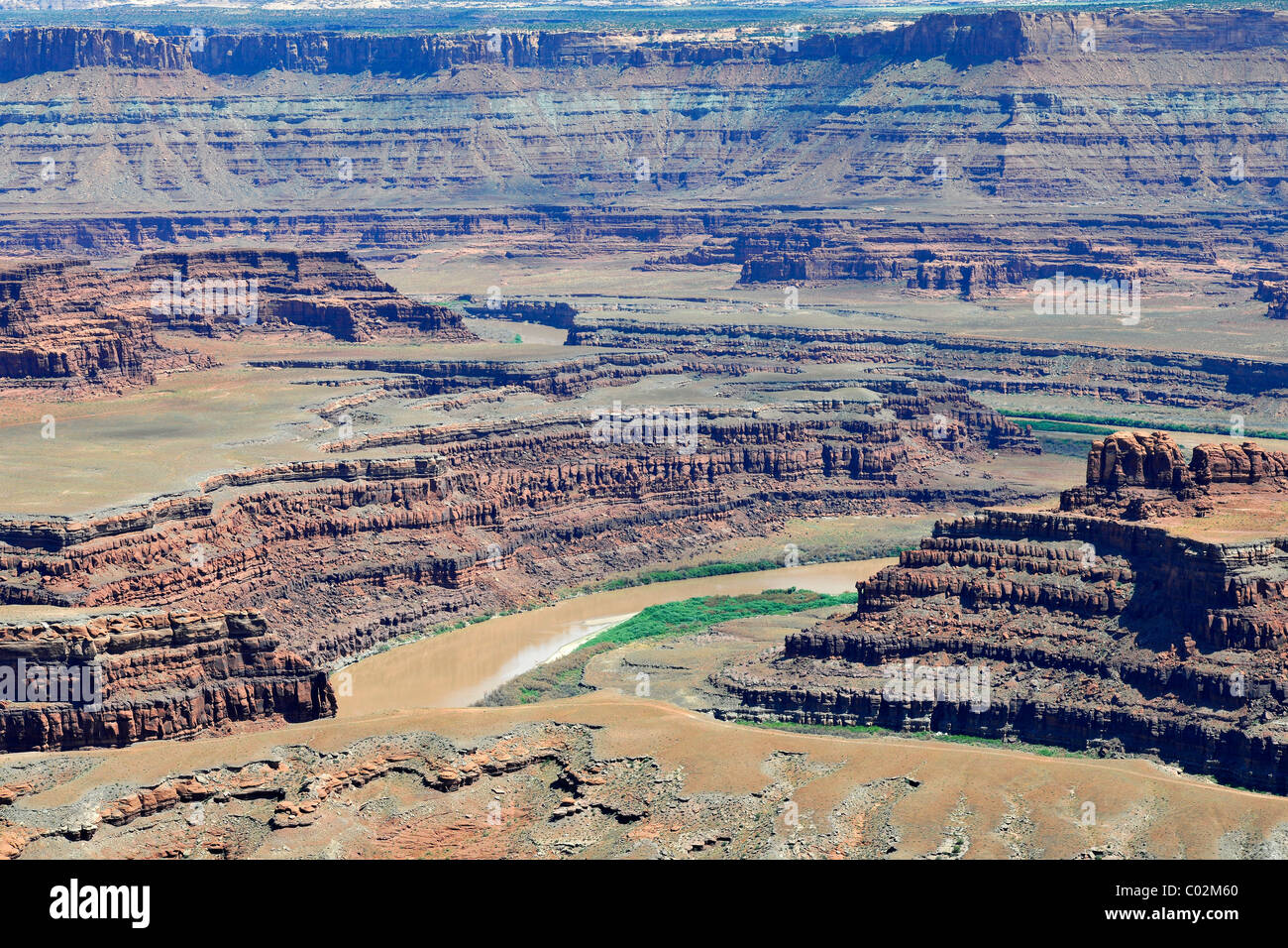 River Bend, Cygne, Canyon, Colorado River, Dead Horse Point State Park, Utah, USA, Amérique Latine Banque D'Images