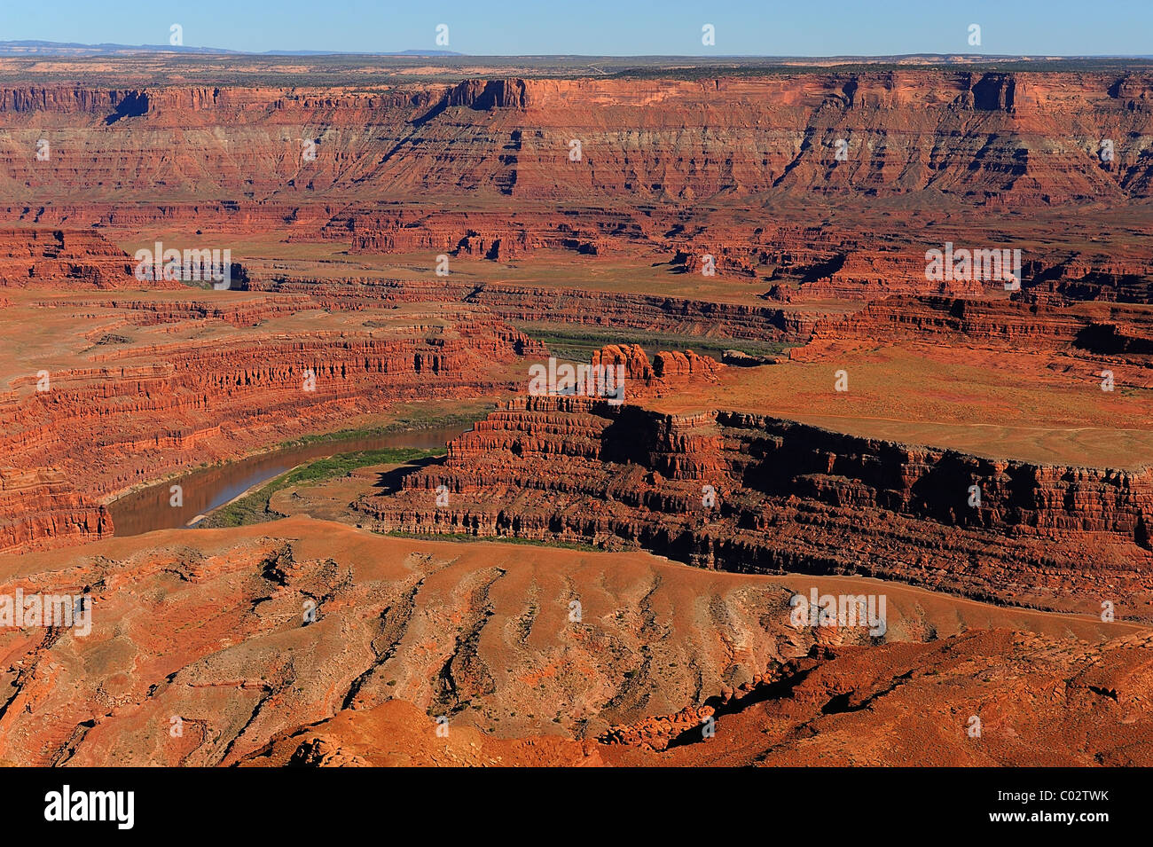 Le passage de la rivière Colorado Canyonlands National Park, Île dans le ciel, près de Moab, États-Unis Banque D'Images