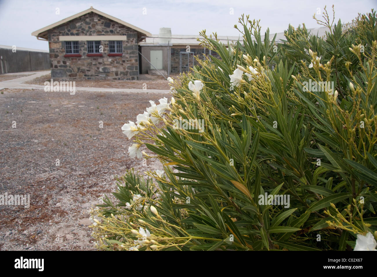 L'Afrique du Sud, Cape Town, l'île de Robben. L'article d'un bloc de cellules. Banque D'Images