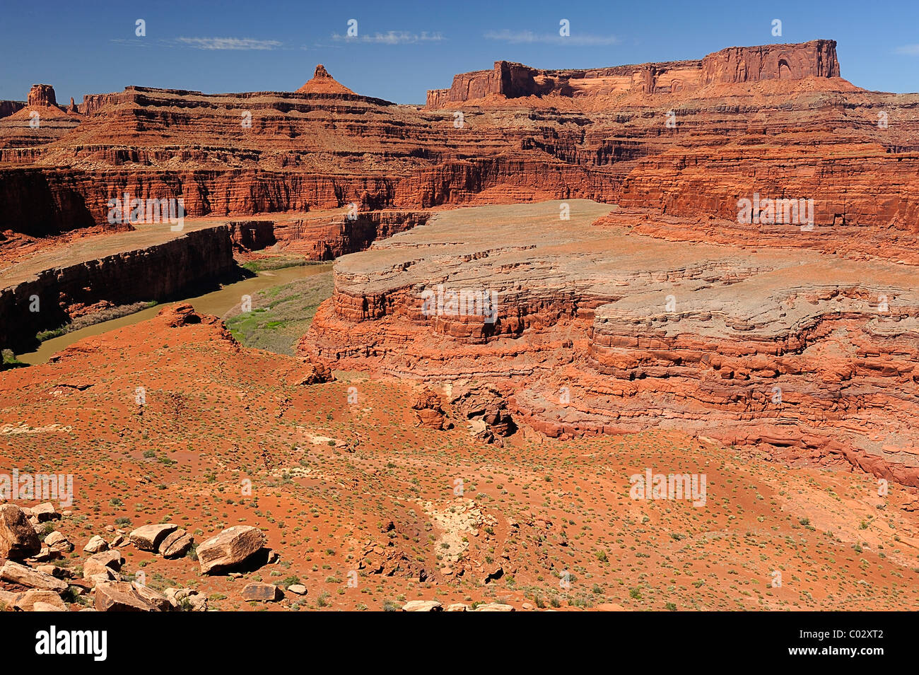 Le passage de la rivière Colorado Canyonlands National Park, Île dans le ciel, près de Moab, États-Unis Banque D'Images