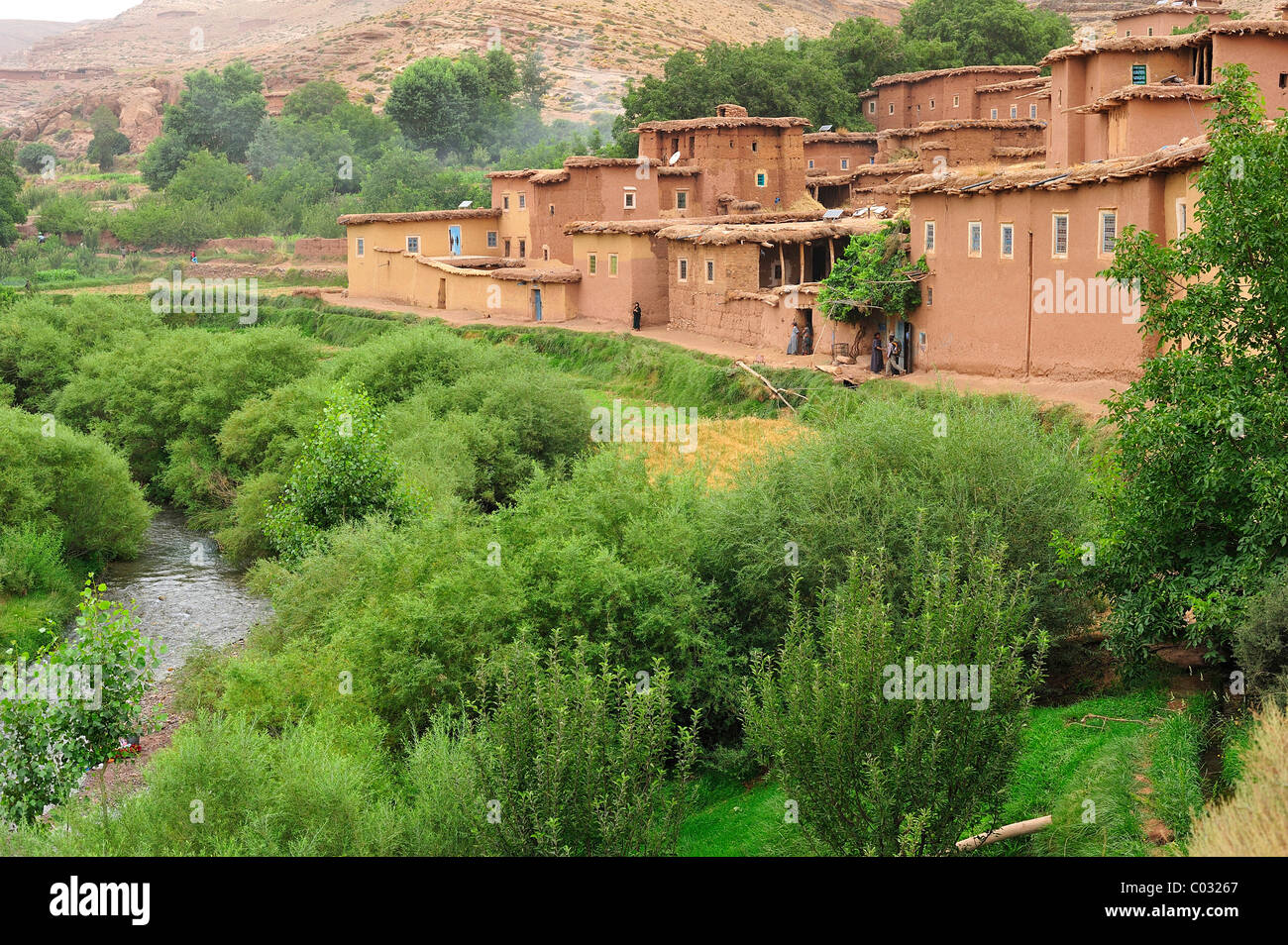 Petit village berbère, avec des maisons en torchis sur une rivière avec une végétation luxuriante, Kelaa M'gouna, Haut Atlas, Maroc, Afrique Banque D'Images