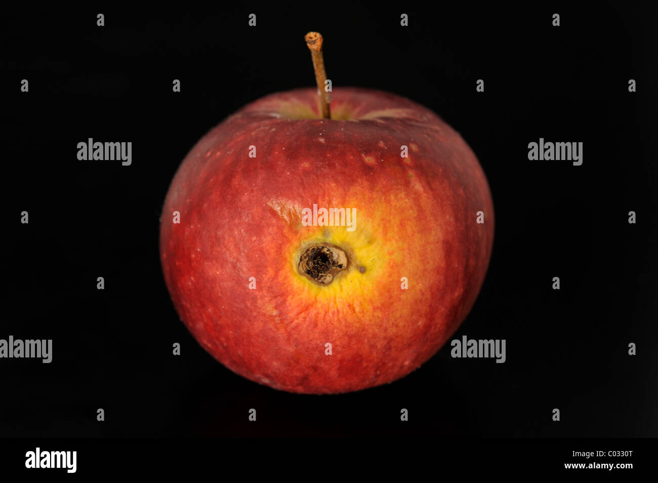 Apple desséchés Banque D'Images
