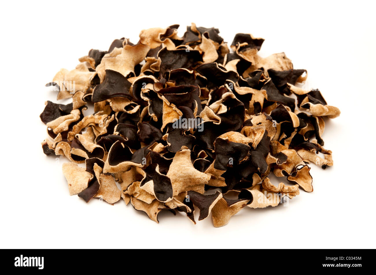 Oreille-séché champignon sur un fond blanc Banque D'Images