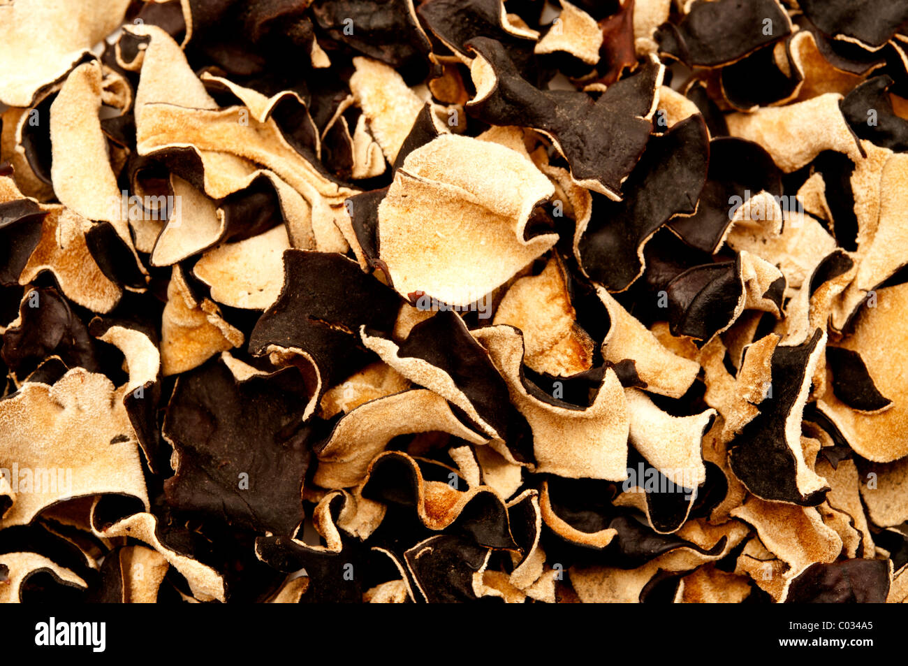 Certains de macro oreille-champignon séché Banque D'Images