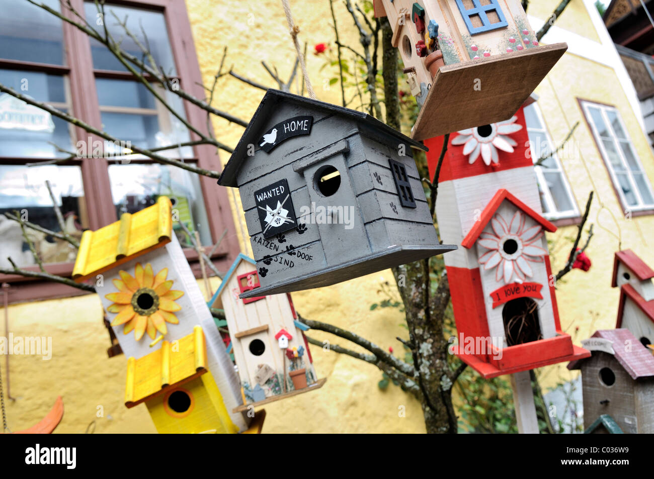 Maisons d'oiseaux drôles, Hallstatt, Salzkammergut, Haute Autriche, Autriche, Europe Banque D'Images