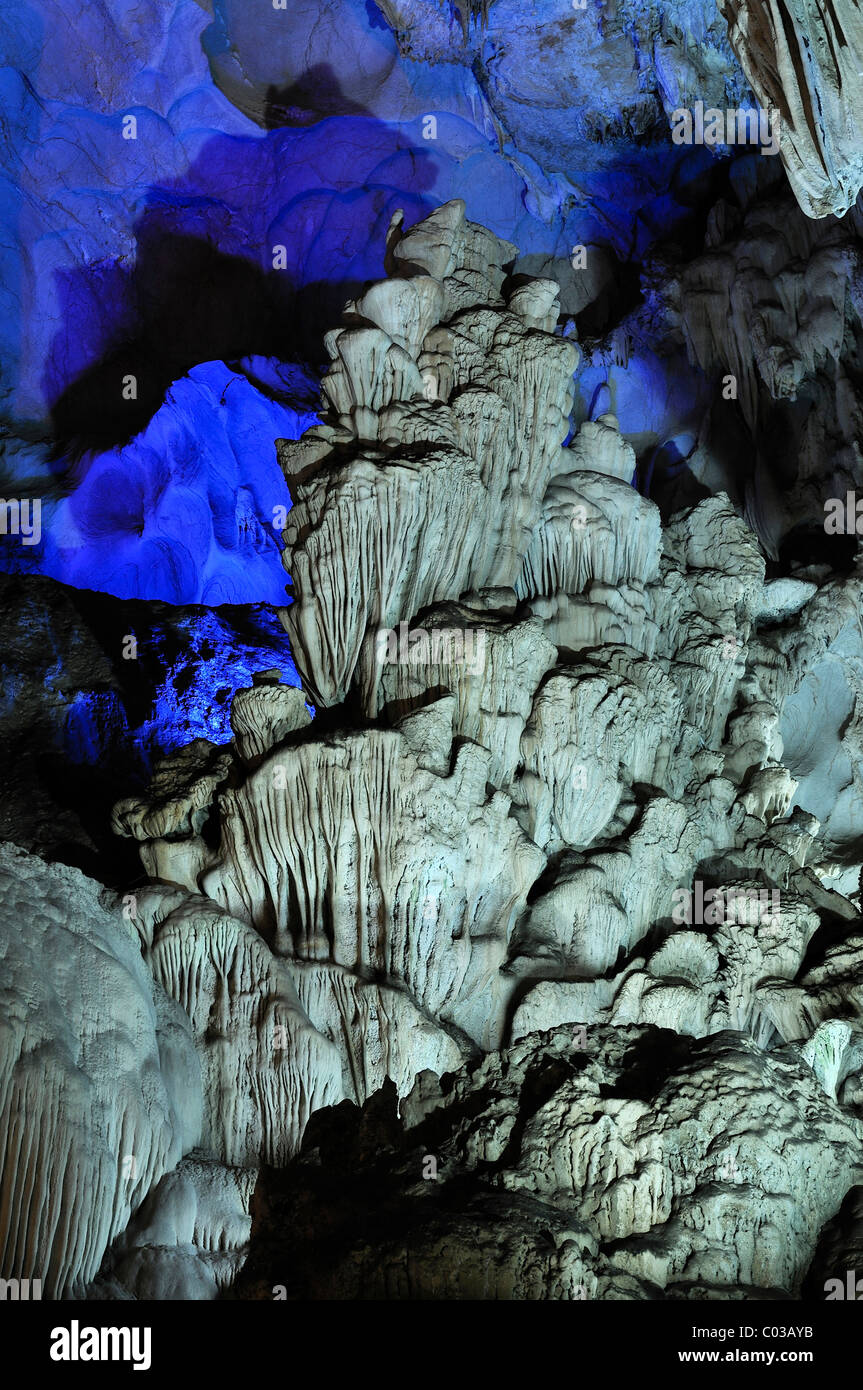 Hang Dau Go, grotte de bois caché, Halong Bay, Vietnam, Asie du sud-est Banque D'Images