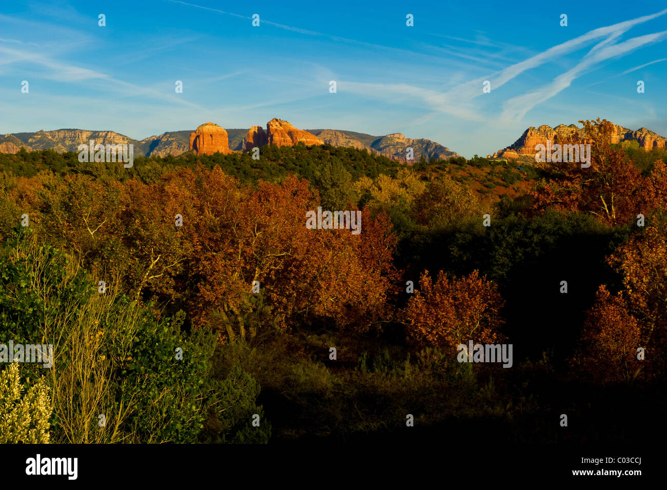 Des formations de roche rouge du désert avec des feuilles sur les arbres. Banque D'Images