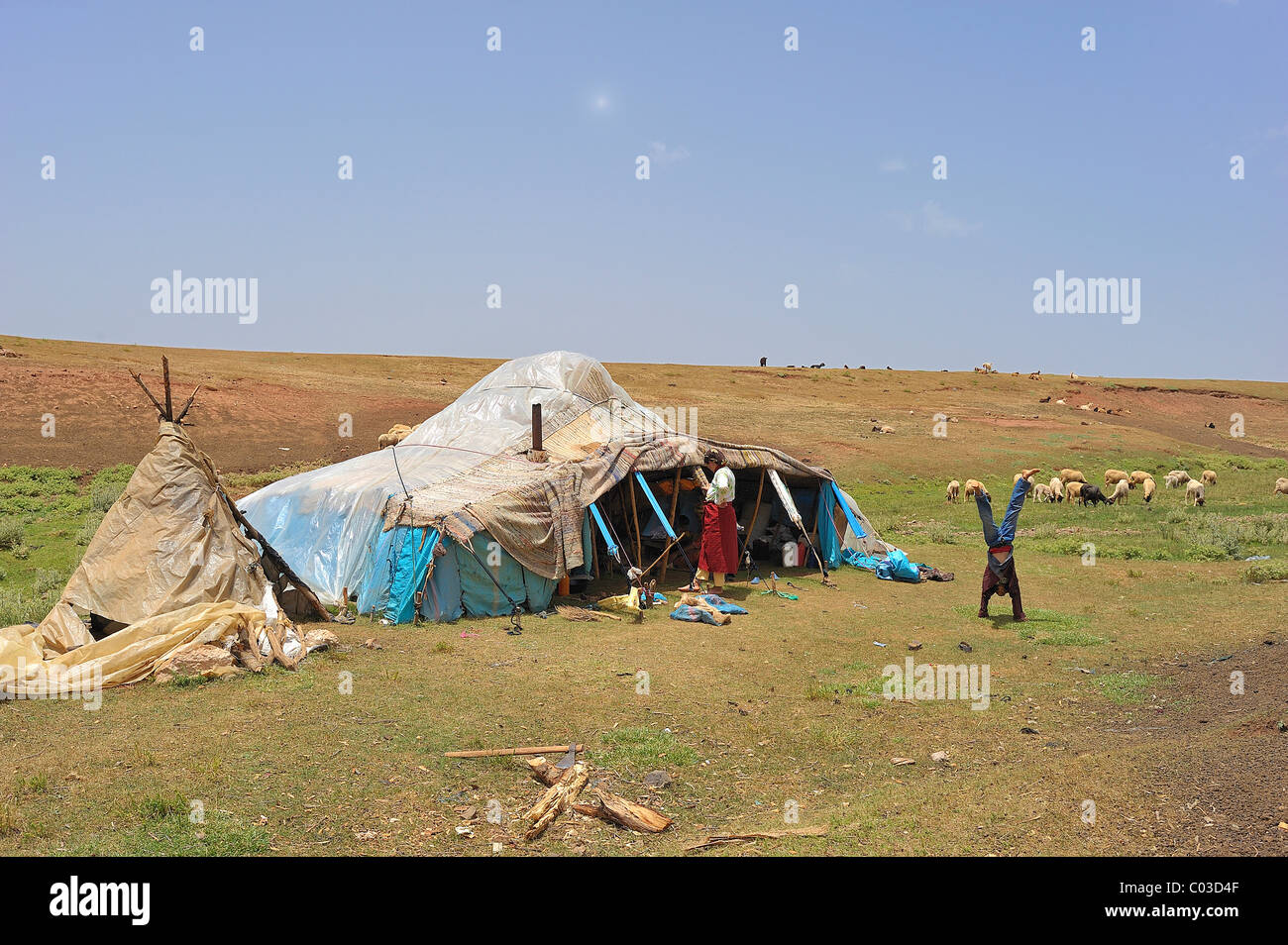 La tente de nomades couverts avec des feuilles de plastique contre la pluie, nomad boy doing a handstand, Moyen Atlas, Maroc, Afrique Banque D'Images