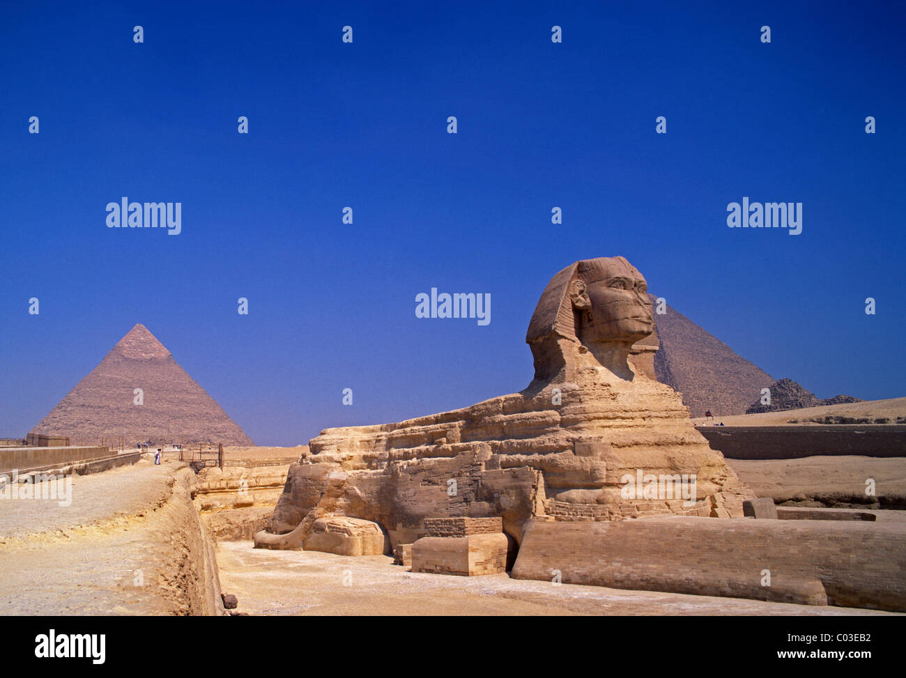 L'Egypte, Gizeh, sphinx et pyramides Banque D'Images