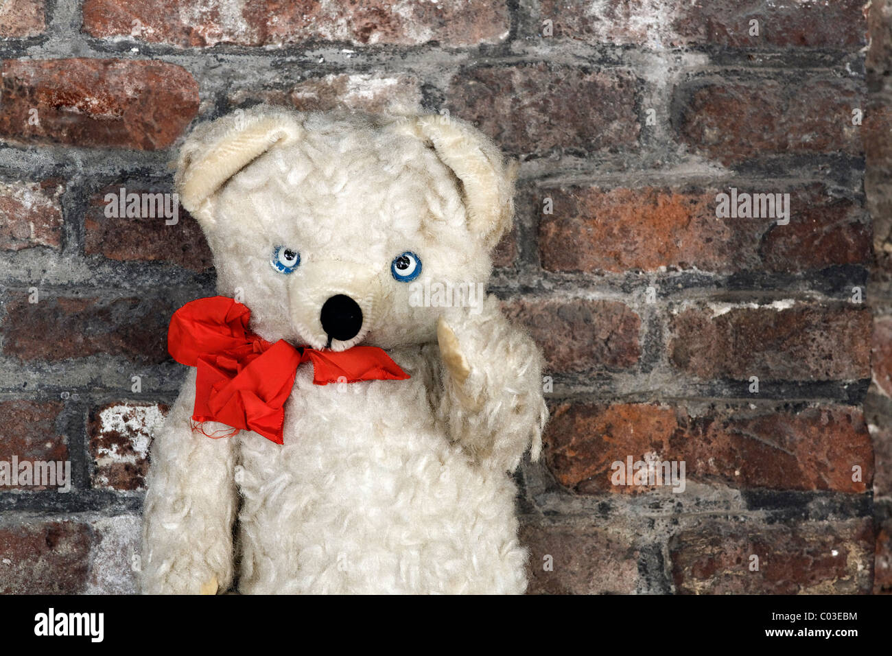 Vieux ours en peluche avec un ruban rouge pour la vente, marché d'antiquités, Middelburg, presqu'île de Walcheren, province de Zélande, Pays-Bas Banque D'Images