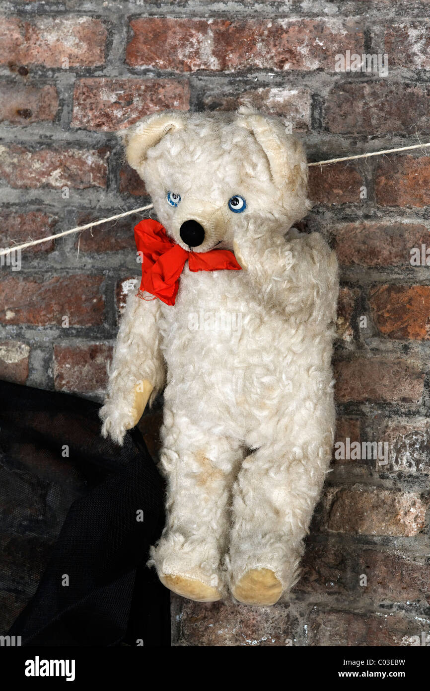 Vieux ours en peluche avec un ruban rouge pour la vente, marché d'antiquités, Middelburg, presqu'île de Walcheren, province de Zélande, Pays-Bas Banque D'Images