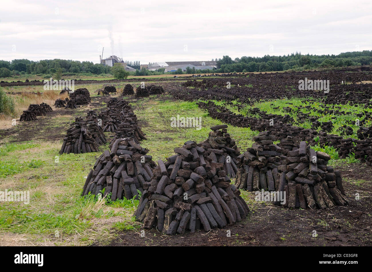 Briquettes de tourbe utilisée comme combustible dans des maisons privées sont séchées par les citoyens eux-mêmes, à Birr, Leinster, République d'Irlande, Europe Banque D'Images