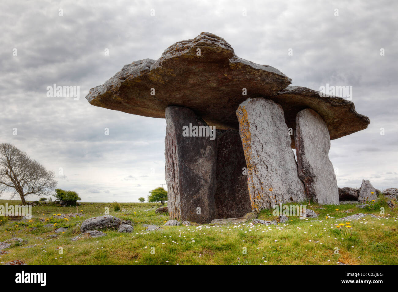 Dolmen de Poulnabrone, le Burren, comté de Clare, Irlande, Europe Banque D'Images