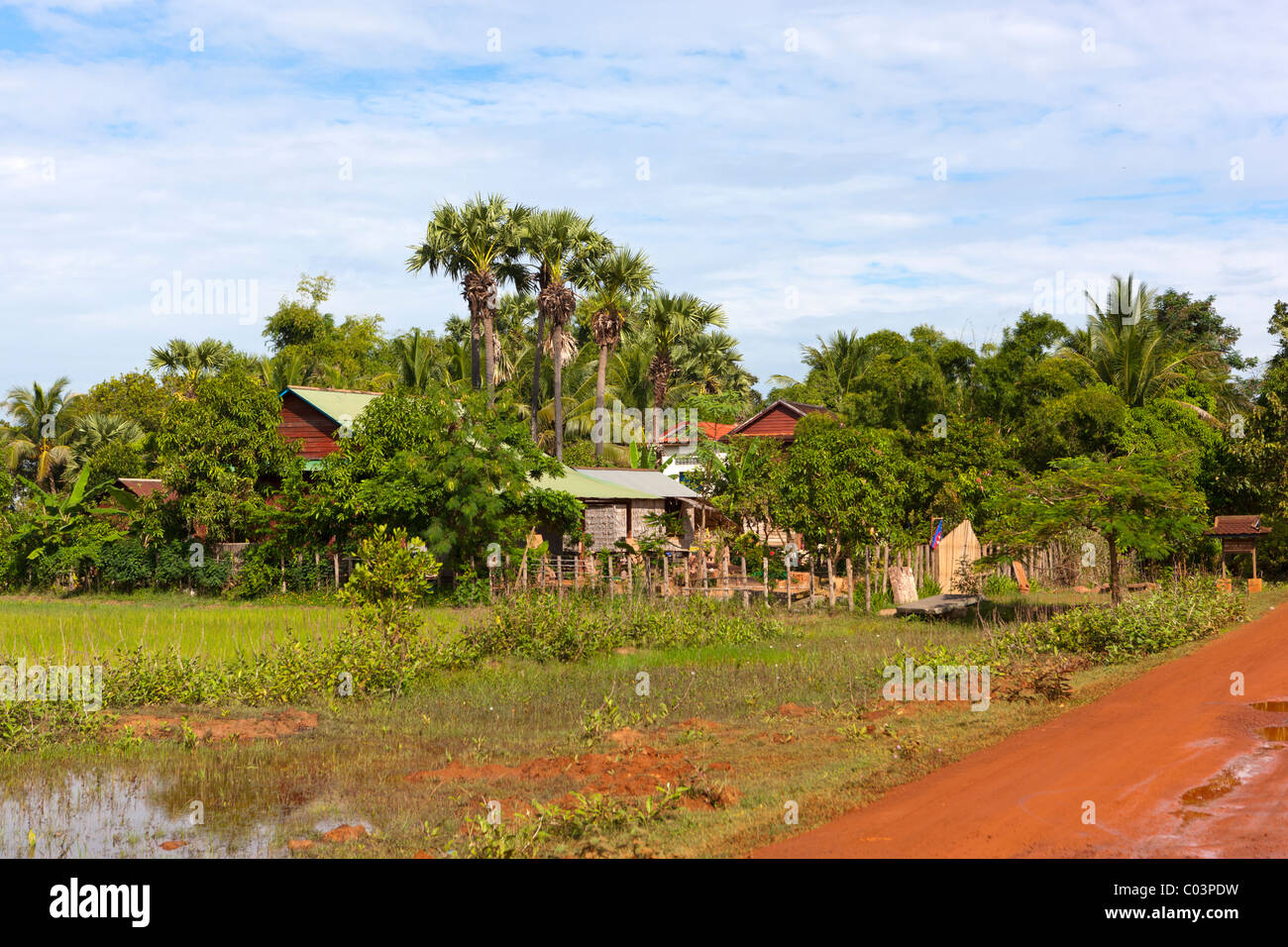 Phumi Lôley village. La province de Siem Reap. Le Cambodge. Asie Banque D'Images