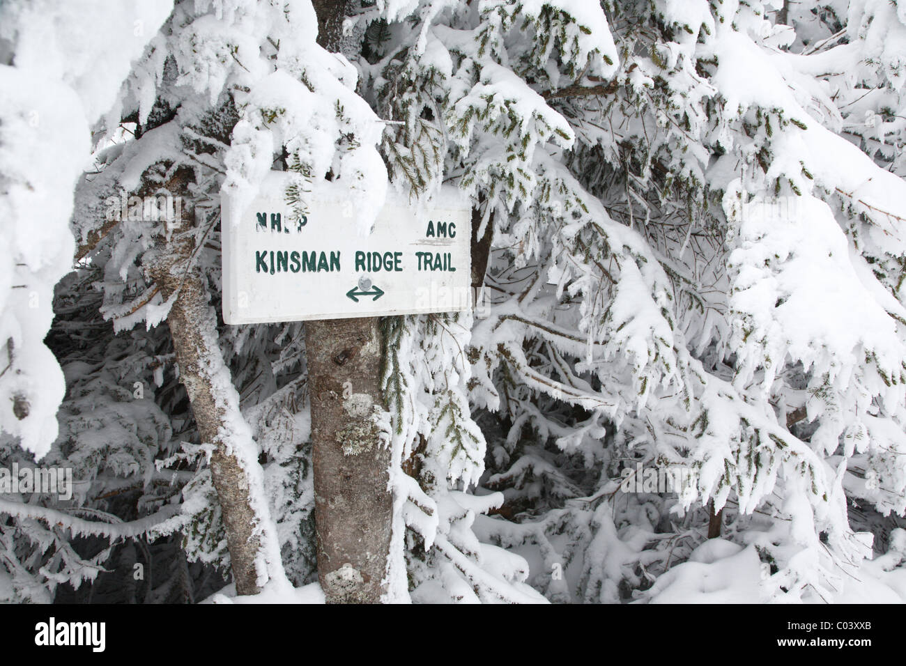 Kinsman Ridge Trail sur Cannon Mountain pendant les mois d'hiver dans les Montagnes Blanches du New Hampshire, USA Banque D'Images