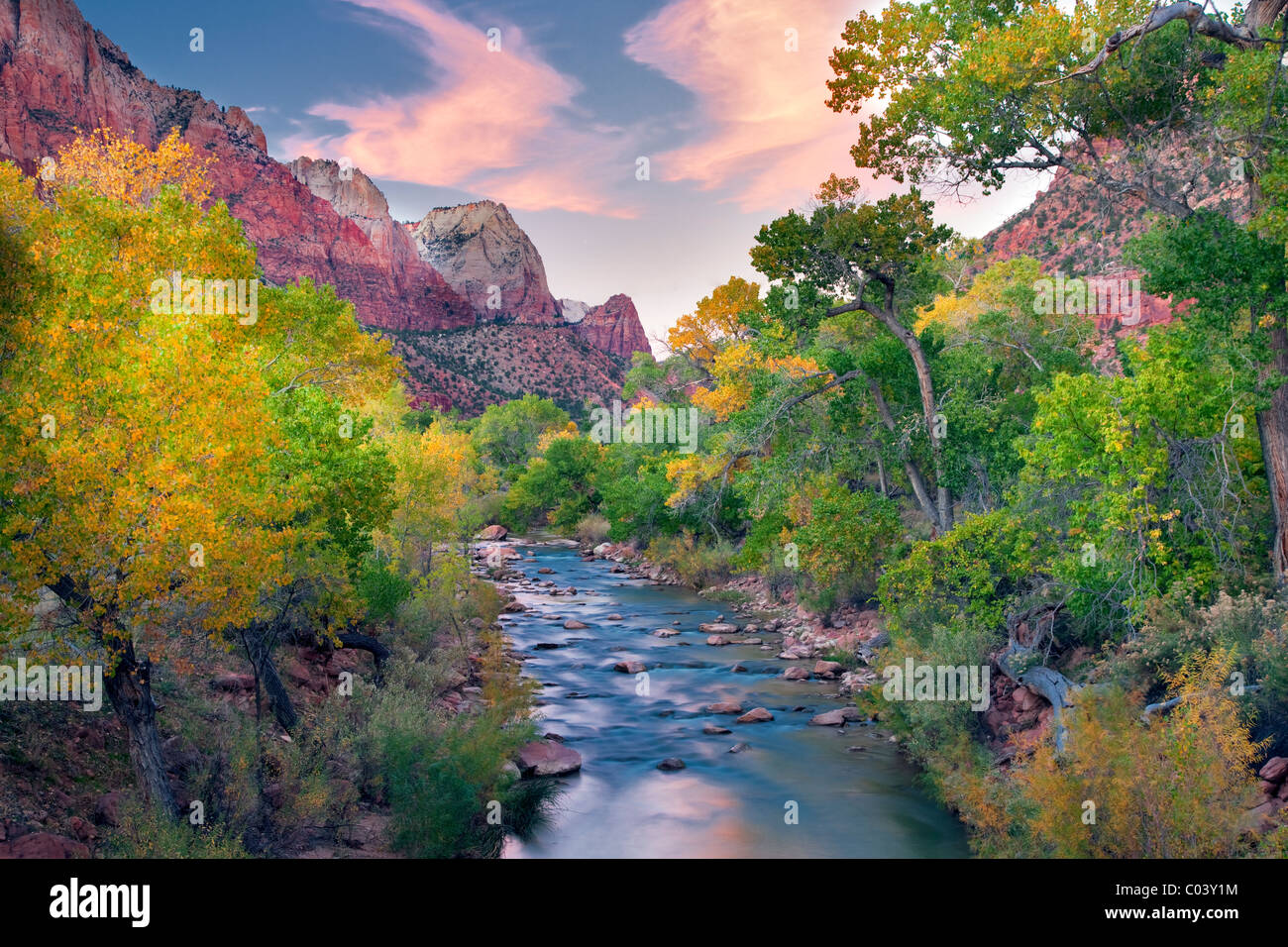 La couleur de l'automne et de Virgin River. Zion National Park, Utah. Banque D'Images