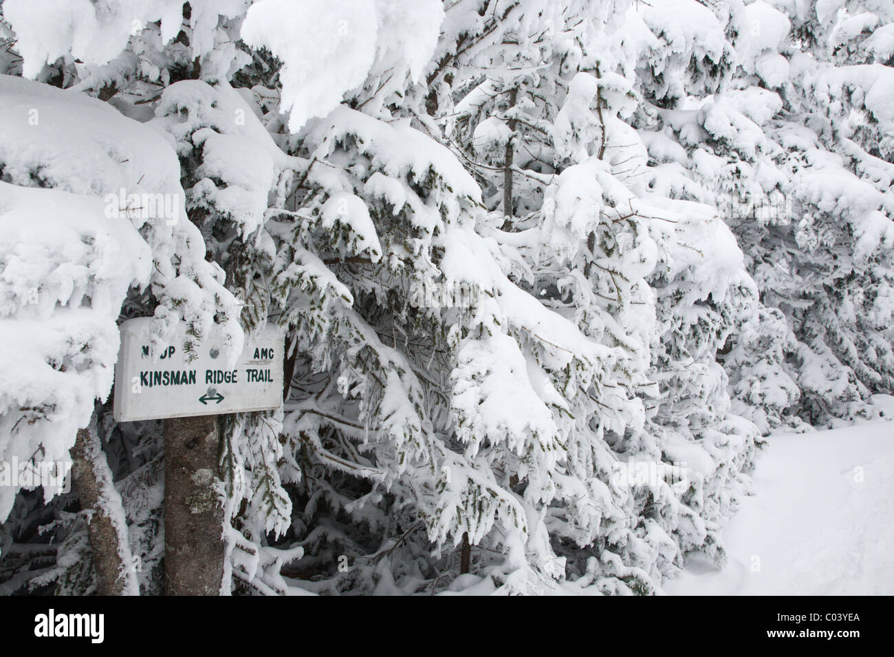 Kinsman ridge trail sur cannon mountain pendant les mois d'hiver dans les montagnes Blanches du New Hampshire, usa Banque D'Images