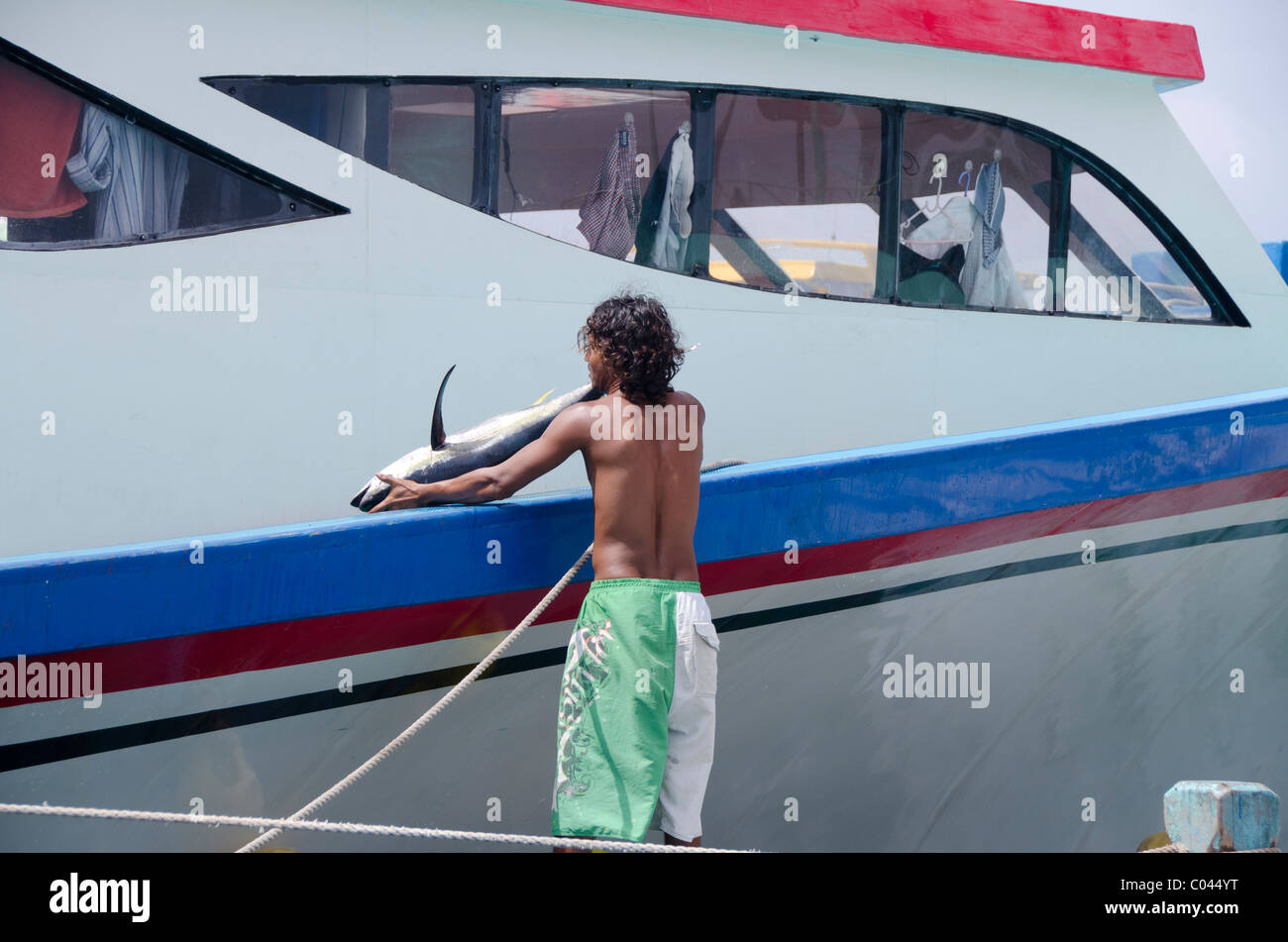 Les Maldives, homme, capitale de l'archipel des Maldives. Jetée du président pier, jeunes pêcheurs avec prises de la journée. Banque D'Images