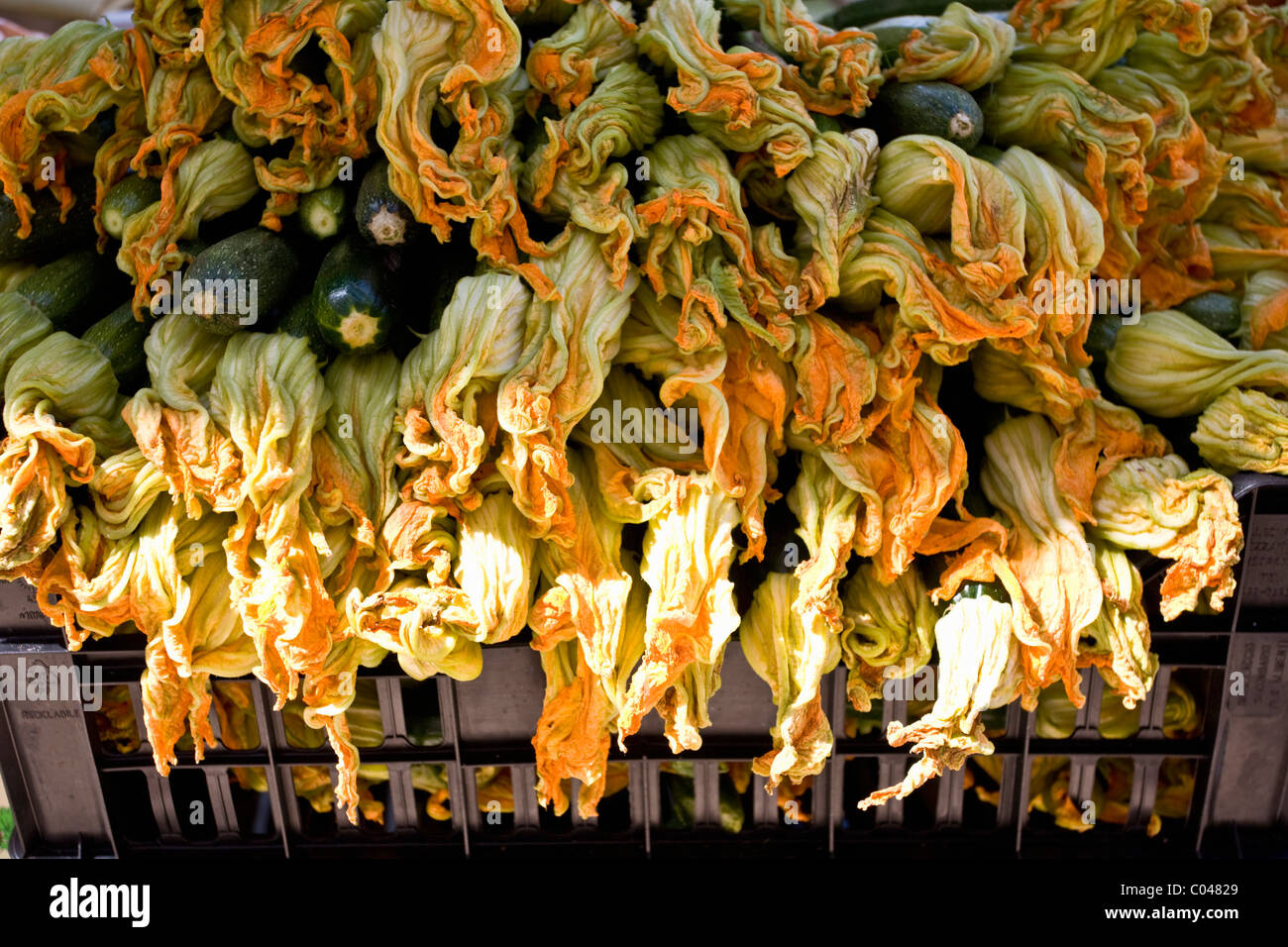 Courgettes fleurs bébé dans un marché à Venise, Italie Banque D'Images