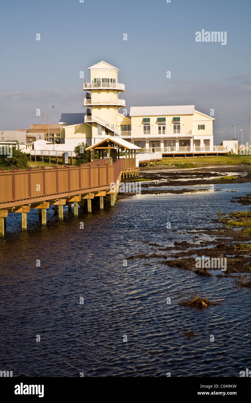 South Padre Island Birding & Nature Center, Texas Banque D'Images