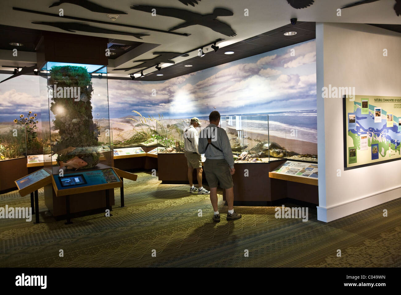 South Padre Island Birding & Nature Center, Texas Banque D'Images