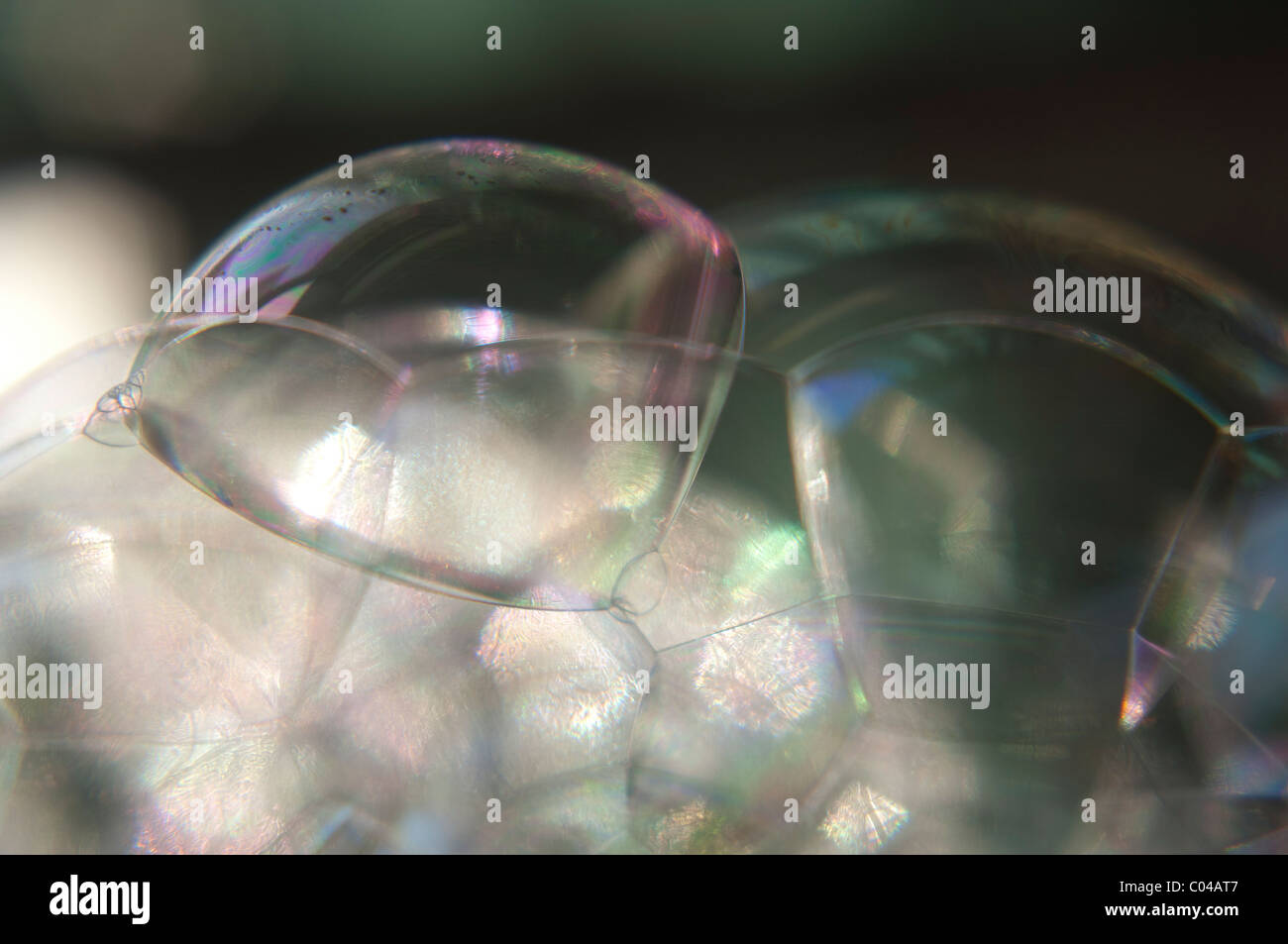 Des bulles de savon en close-up Banque D'Images