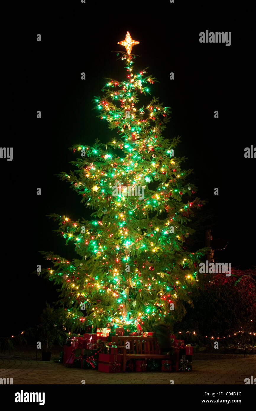 Arbre de noël vancouver Banque de photographies et d’images à haute résolution Alamy