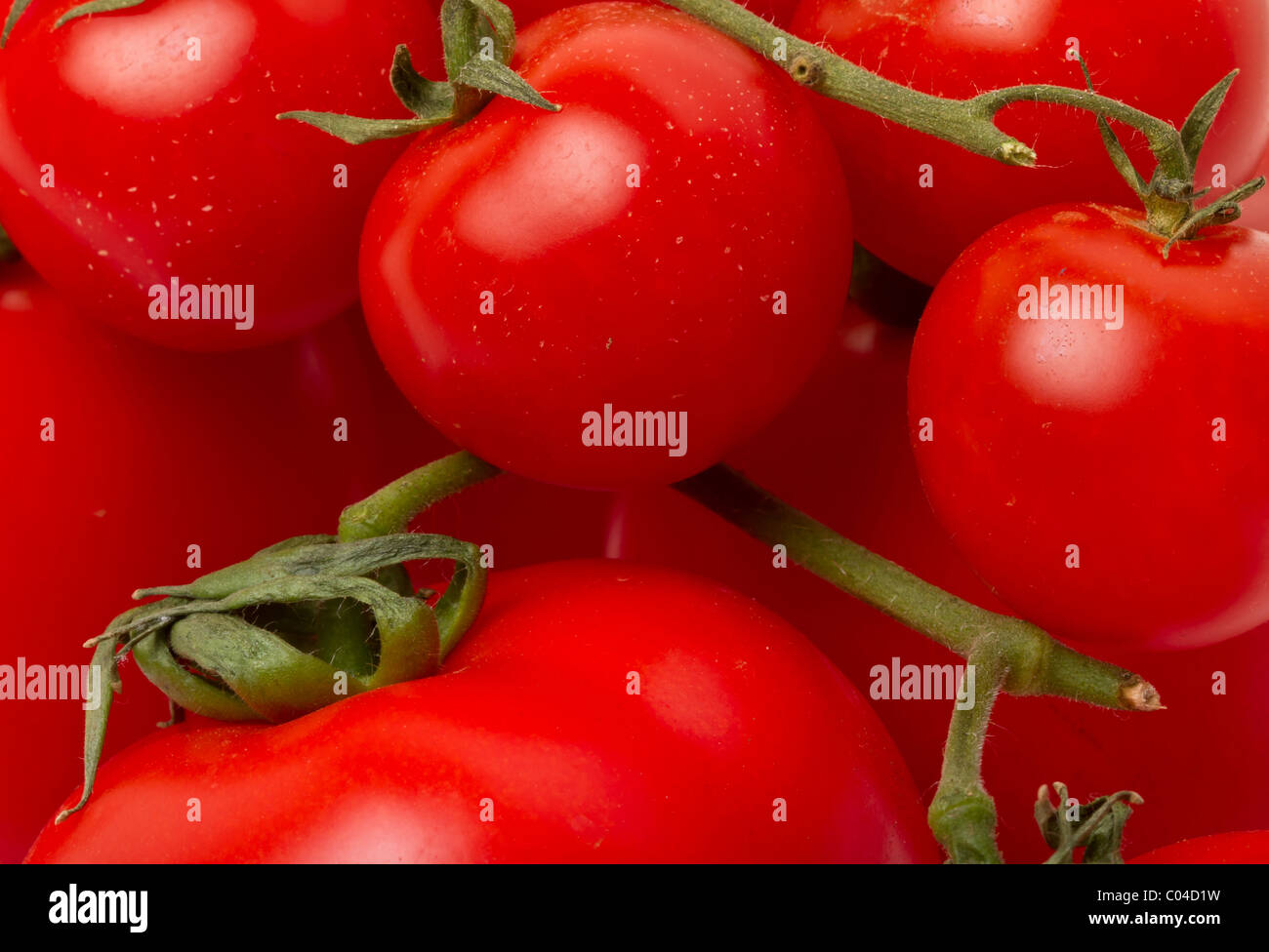 Arrière-plan de l'alimentation des tomates rouges vibrantes sur la vigne de près. Banque D'Images