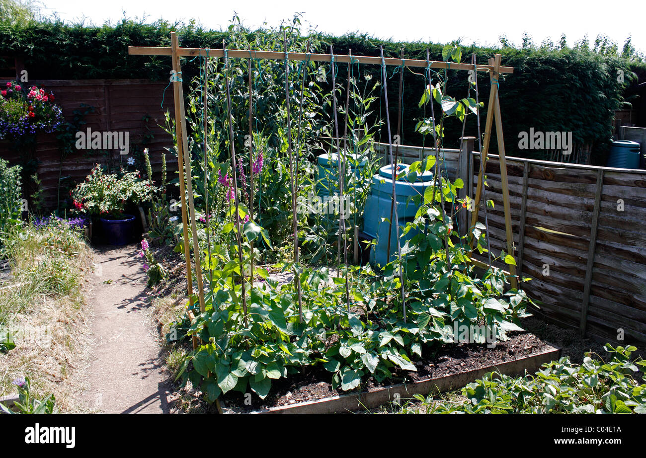 Un POTAGER DANS UN PETIT JARDIN À L'INTÉRIEUR DES RÉGIONS RURALES. Banque D'Images