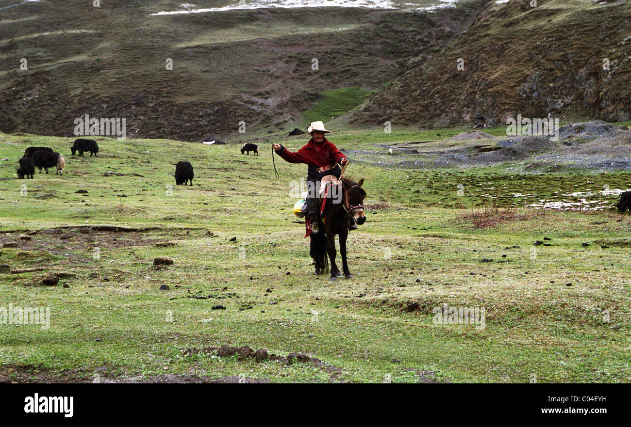 Un nomade tibétain sur son cheval. Banque D'Images