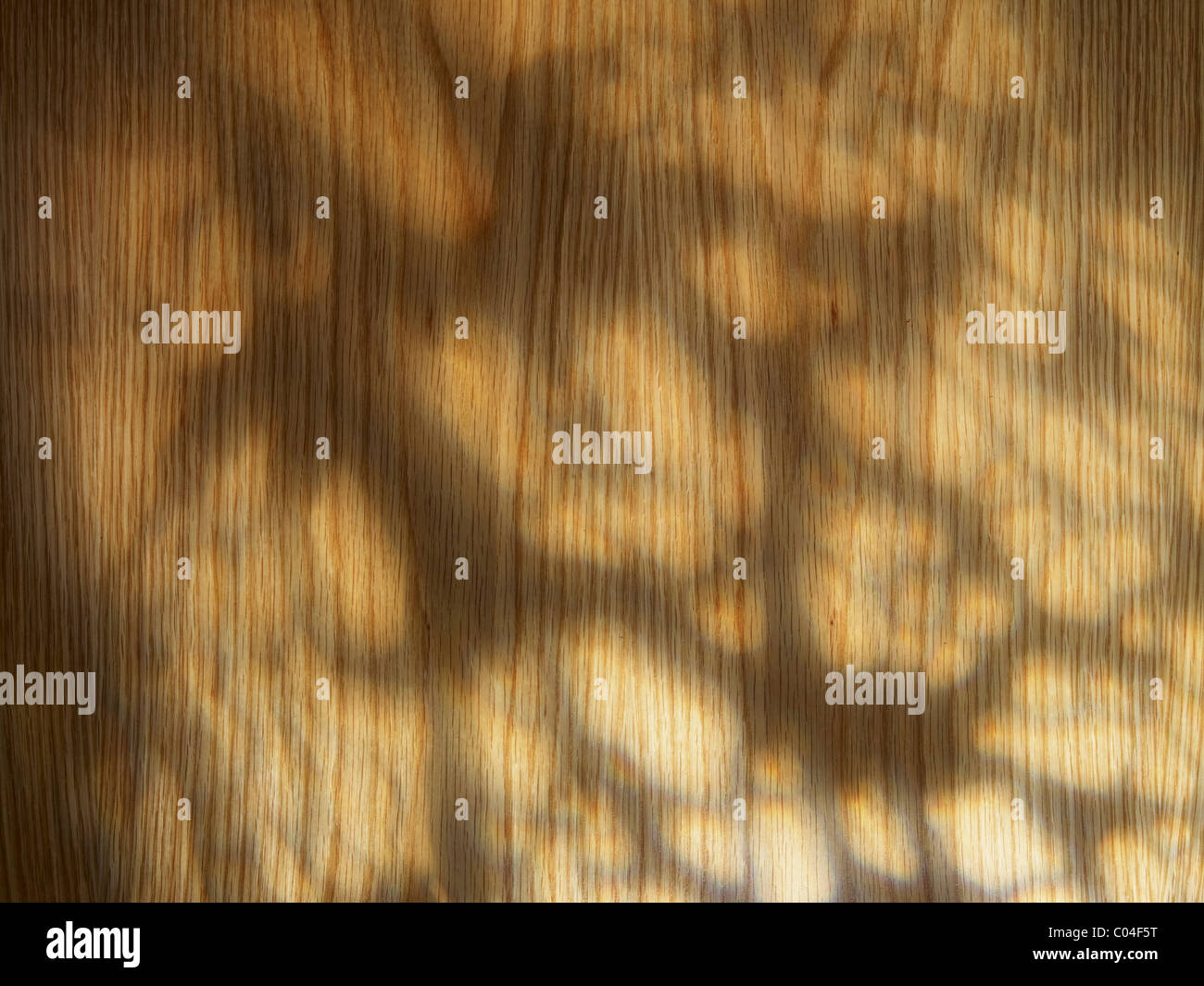 Grain de bois en chêne table top Banque D'Images