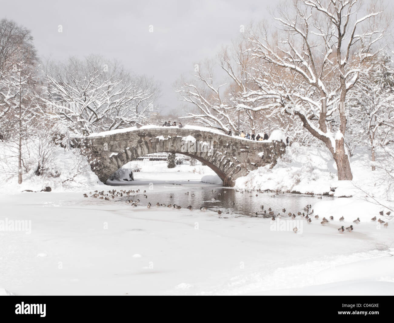 Tempête, Gapstow Bridge, l'étang, Central Park, NYC Banque D'Images