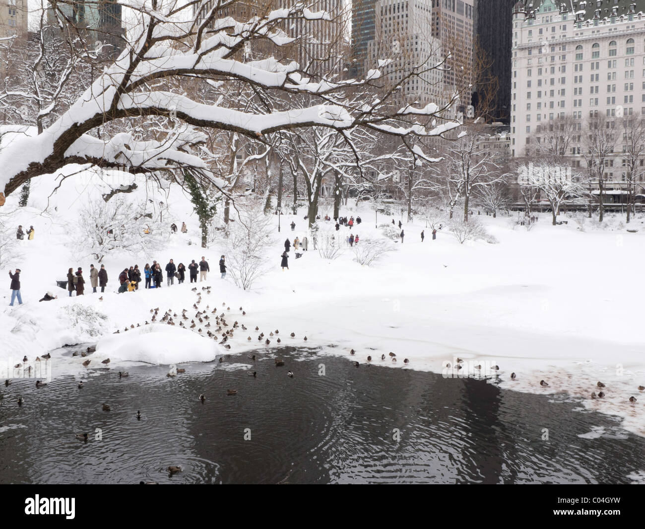 Tempête de neige, l'étang, l'hôtel Plaza, Central Park, NYC Banque D'Images