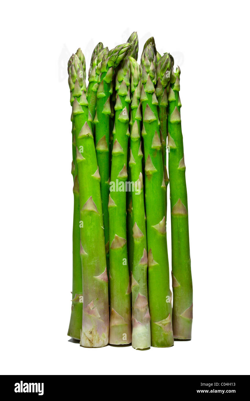 Bundle / bouquet asperges vertes, cut out isolé sur fond blanc. Charles Lupica Banque D'Images