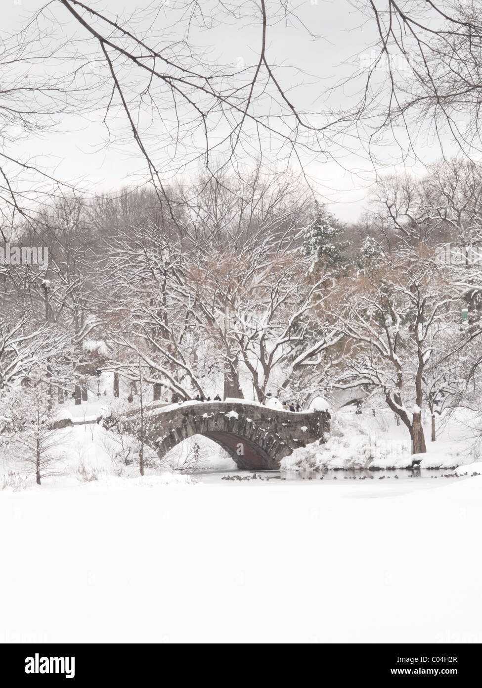 Tempête, Gapstow Bridge, l'étang, Central Park, NYC Banque D'Images
