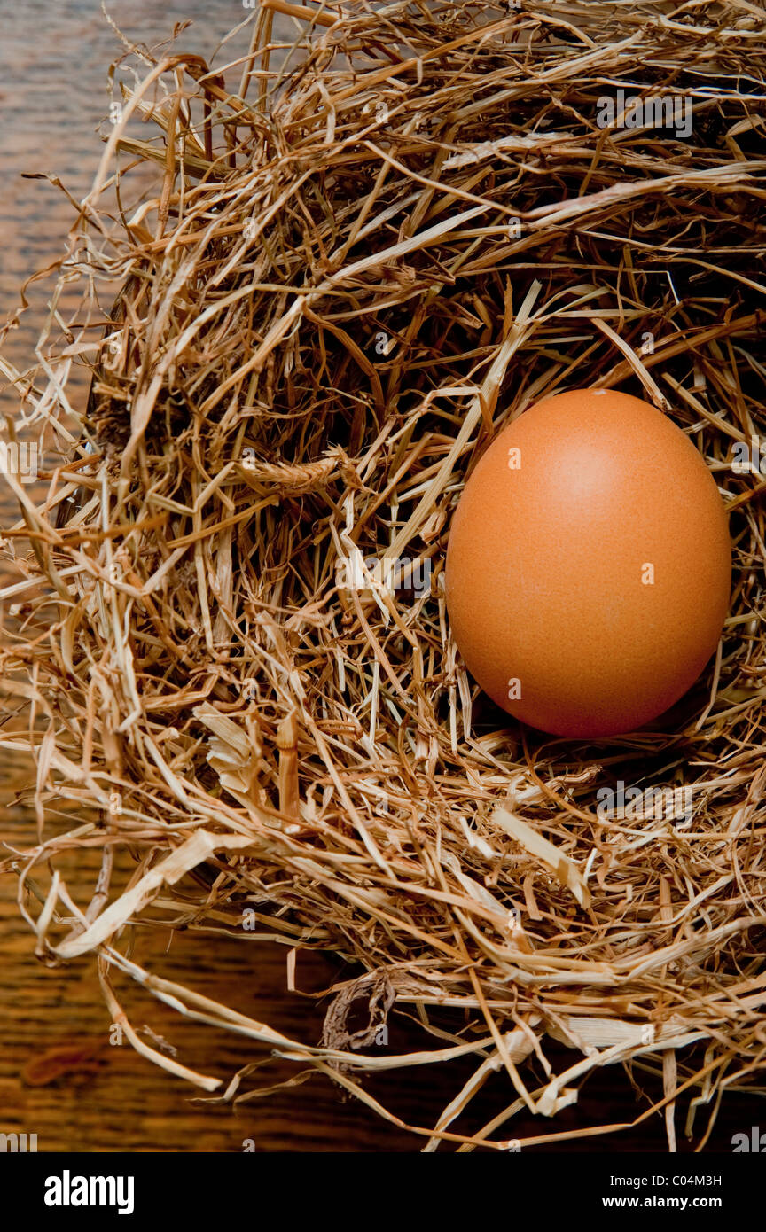Oeuf de poule unique dans nid de foin Banque D'Images