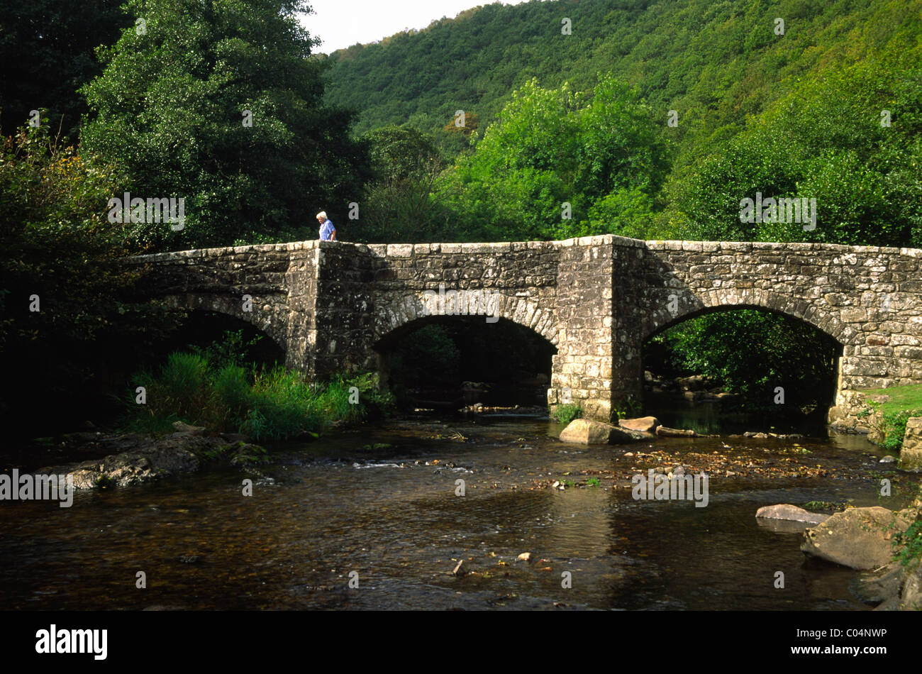 Fingle Bridge Devon Dartmoor Banque D'Images
