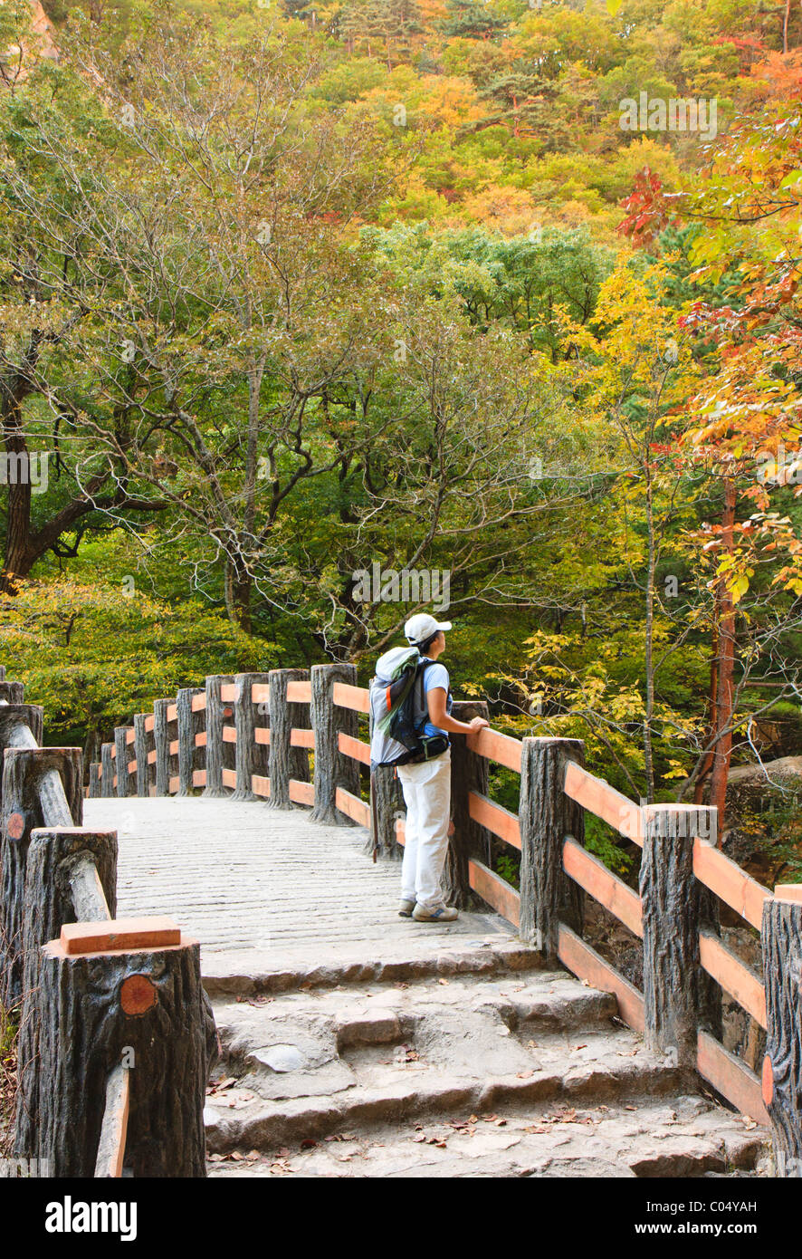 Randonneur sur pont voûté, Cheonbul-dong Valley, le Parc National de Seoraksan, Corée du Sud Banque D'Images