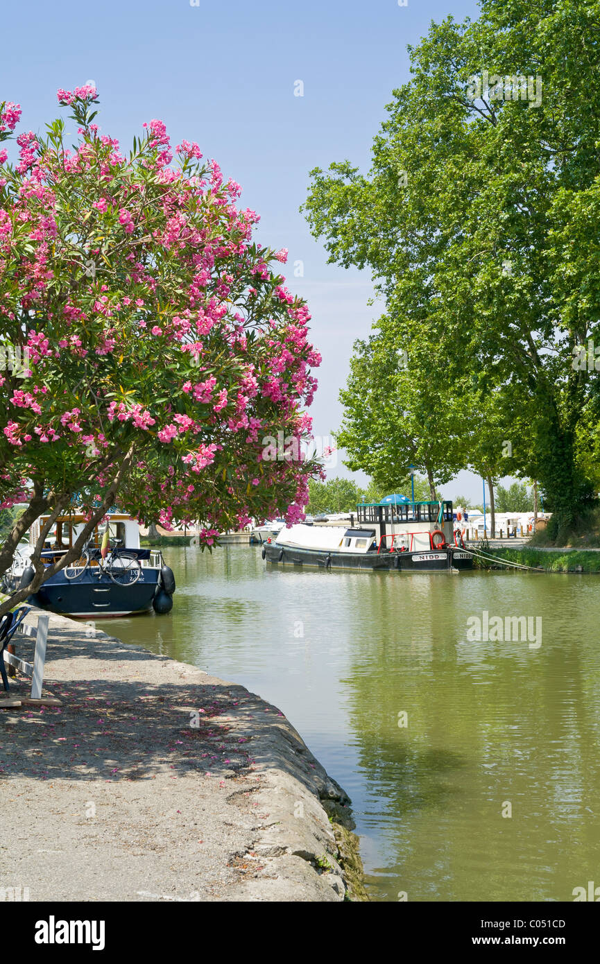 Le Port de Homps sur le Canal du Midi France Banque D'Images